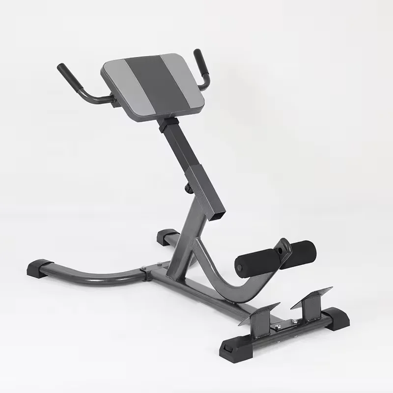 Home Gym Hamstring Exercises - 2026 Steel Roman Chair Verstelbare Oefenbank