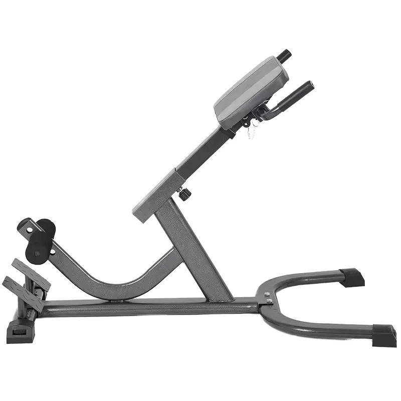 2026 Steel Roman Chair Verstel - Home Gym Hamstring Exercises recensie en prijs