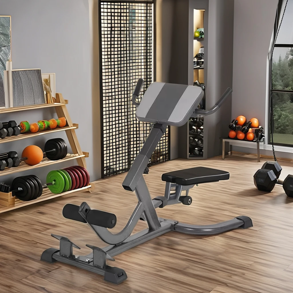 2026 Steel Roman Chair Verstel - Home Gym Hamstring Exercises recensie en prijs