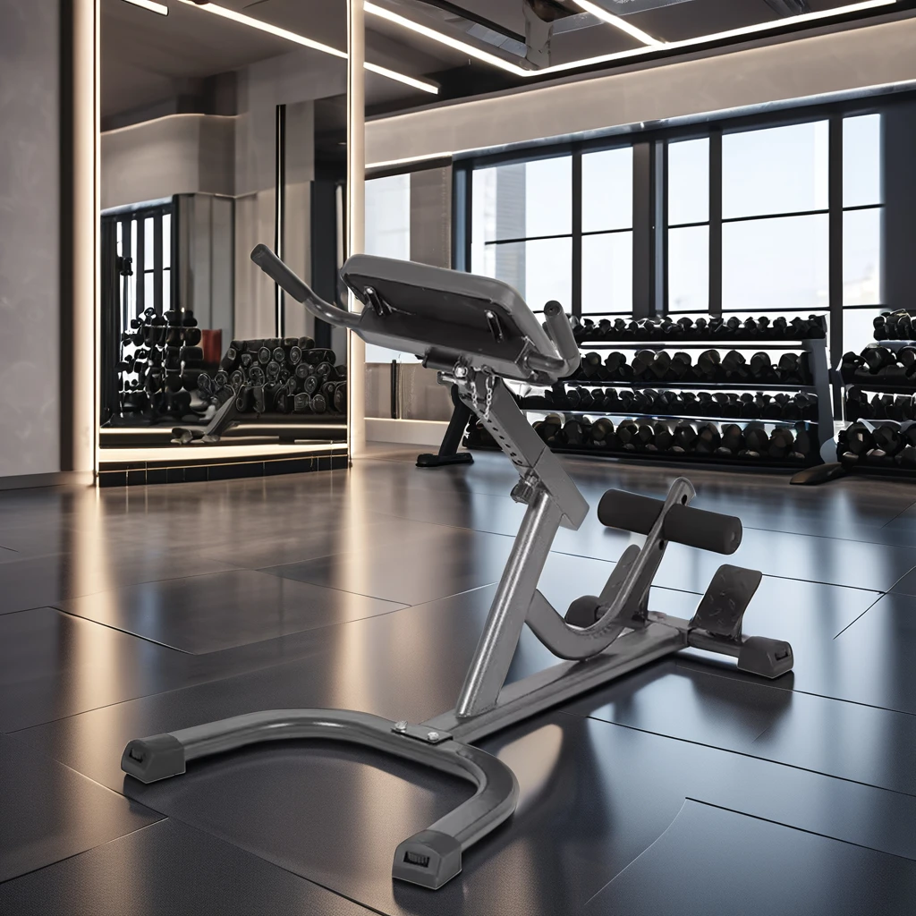 2026 Steel Roman Chair Verstel - Home Gym Hamstring Exercises recensie en prijs
