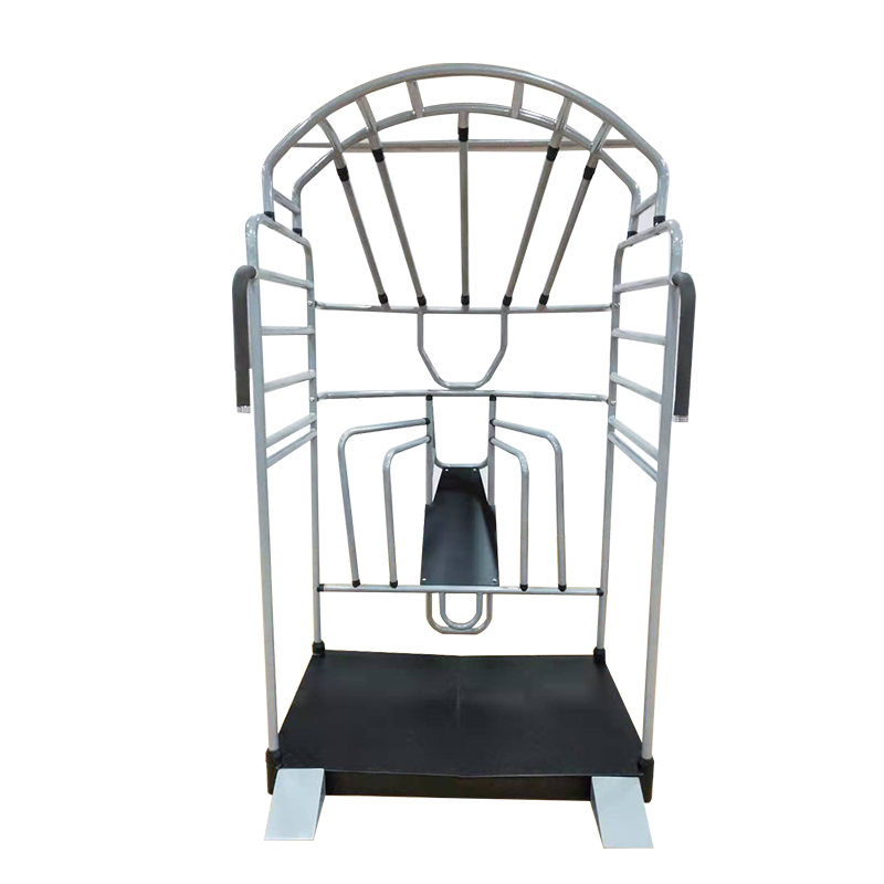 Populaire multifunctionele str - Home Gym Hamstring Exercises recensie en prijs